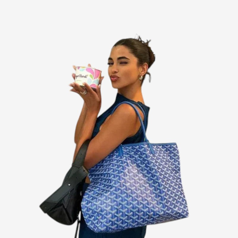 The Travel Tech Organizer